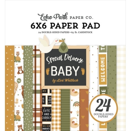 Special Delivery Baby 6x6" Paper Pad - Echo Park