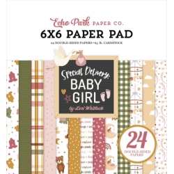 Special Delivery Baby Girl 6x6" Paper Pad - Echo Park