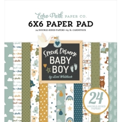 Special Delivery Baby Boy 6x6" Paper Pad - Echo Park