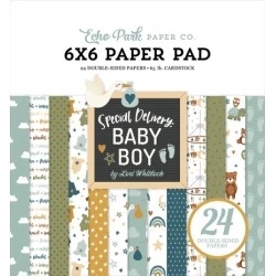 Special Delivery Baby Boy 6x6" Paper Pad - Echo Park