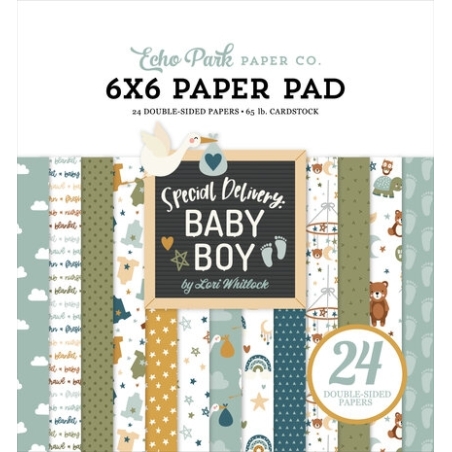 Special Delivery Baby Boy 6x6" Paper Pad - Echo Park