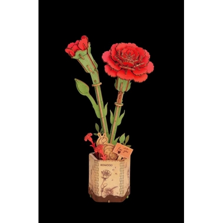 Robotime Red Carnation / Rode Anjer