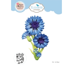 2216 - Cornflower