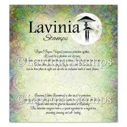 LAV953 - Thyme & Rosemary Words Stamp