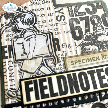 CSD394 - Field Notes Stamp and Die Set