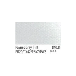 Paynes Grey Tint 2