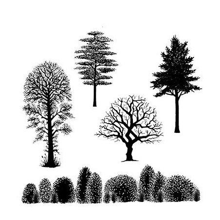 Tree Scene
