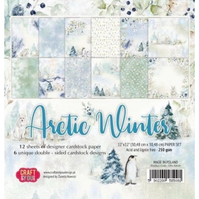 Craft&You - Arctic Winter...
