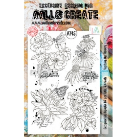 Aall and Create -...