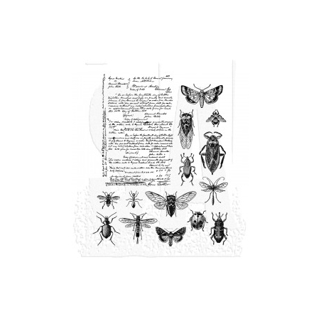 Tim Holtz - CMS328 - Entomology