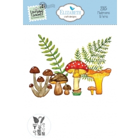 2083 - Mushrooms & Ferns