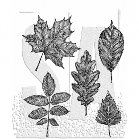 Sketchy Leaves - Tim Holtz...