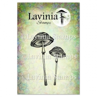 LAV852 - Snailcap Mushrooms...