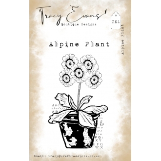 Alpine Plant