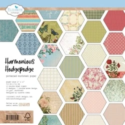 C024 - Harmonious Hodgepodge