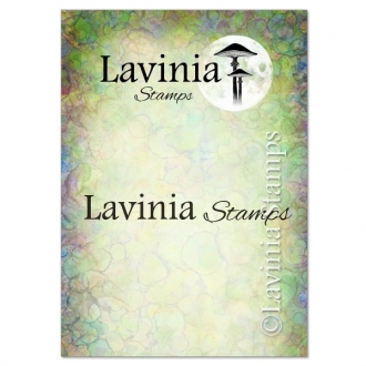 LAV675 - Lavinia