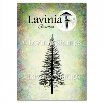 LAV094 - Fir Tree 1