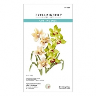 Cymbidium Orchid and...