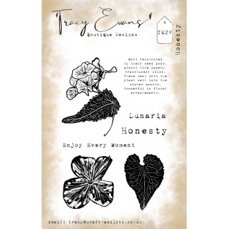 TE028 - Honesty A6 Clearstamp - Tracy Evans