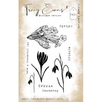 TE031 - Nature's Beauty A6 Clearstamp - Tracy Evans