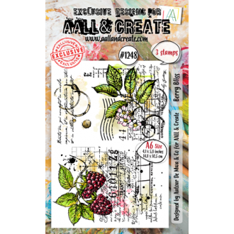 Clearstamp A6 Berry Bliss - AALL & Create