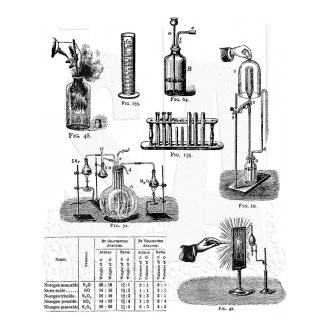 CMS173 - Laboratorie Tim...